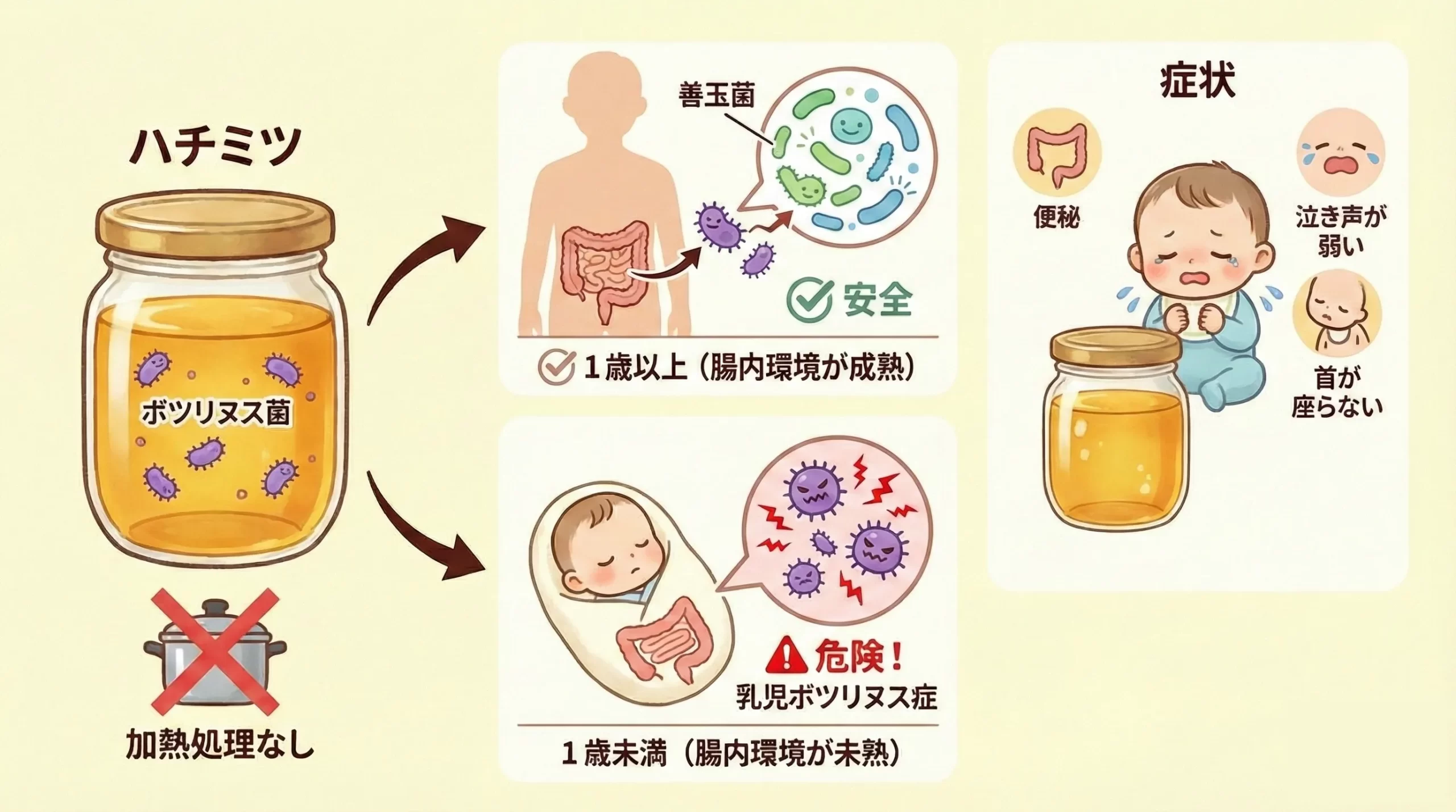 乳児がハチミツNGの理由