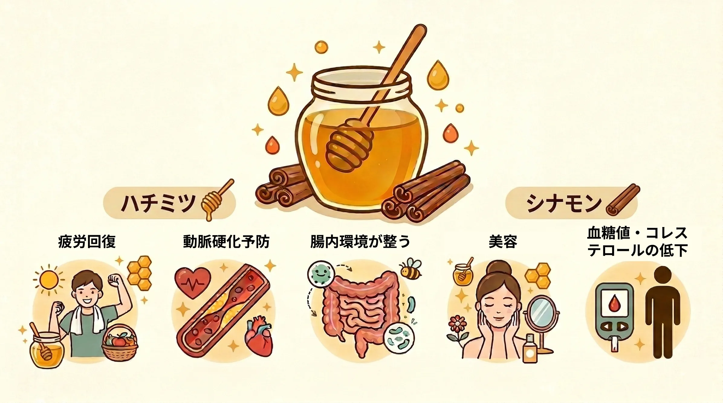 ハチミツシナモンの効果