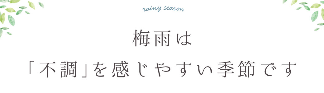 楽しみ方