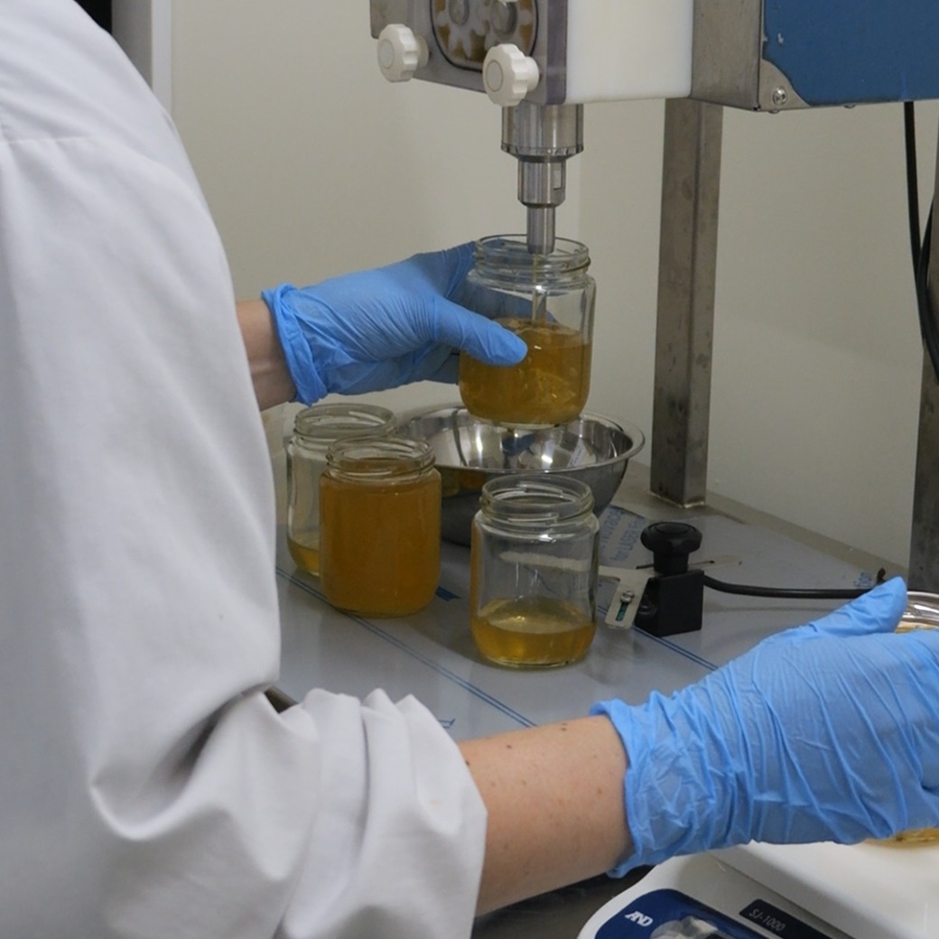 ハチミツを瓶詰めする工房での手作業の様子