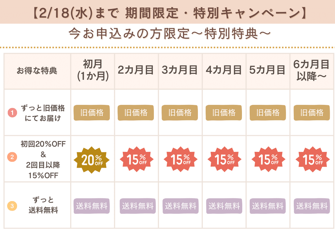 スティックハチミツ定期便〈1年コース〉の特典内容をまとめた画像