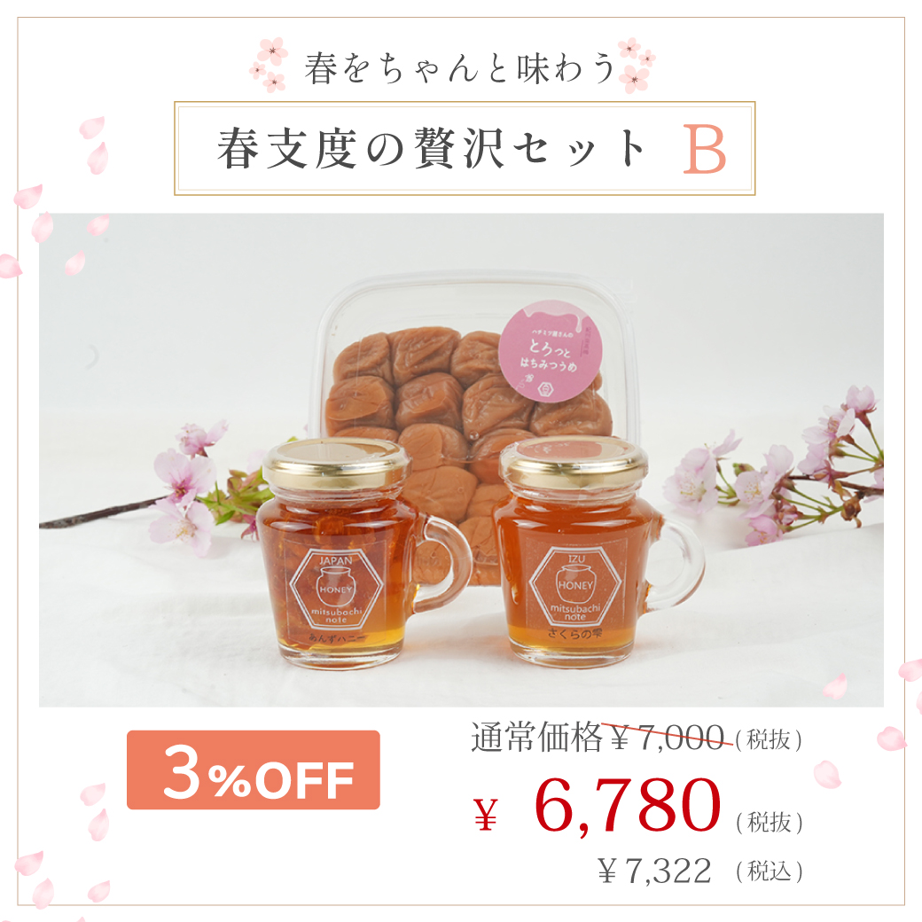 限定50セット】春支度の贅沢セット ※2/27(金)20時販売スタート ※3/12