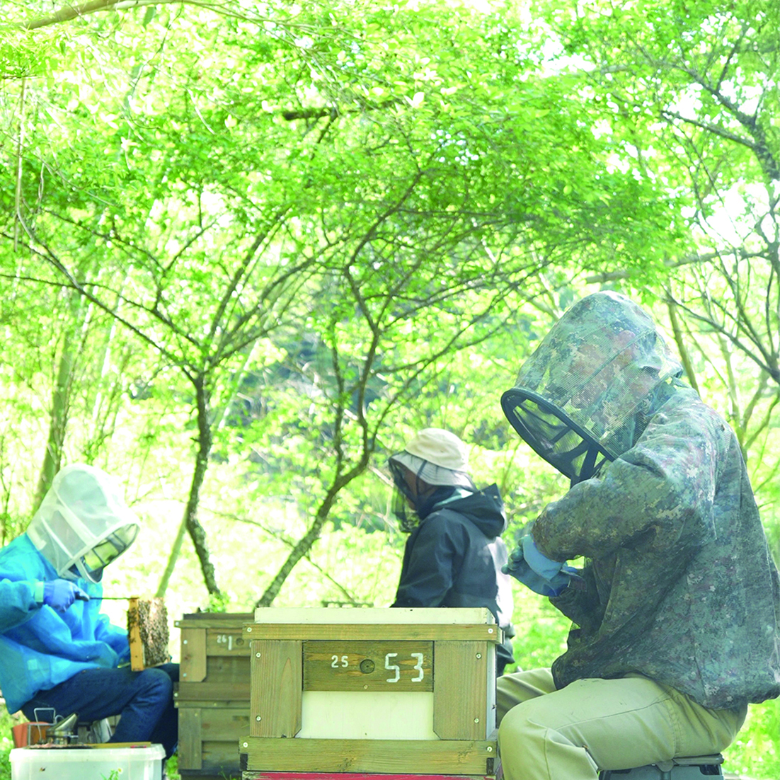 2026年新蜜】みかんの雫（チューブタイプ） みつばちのーと